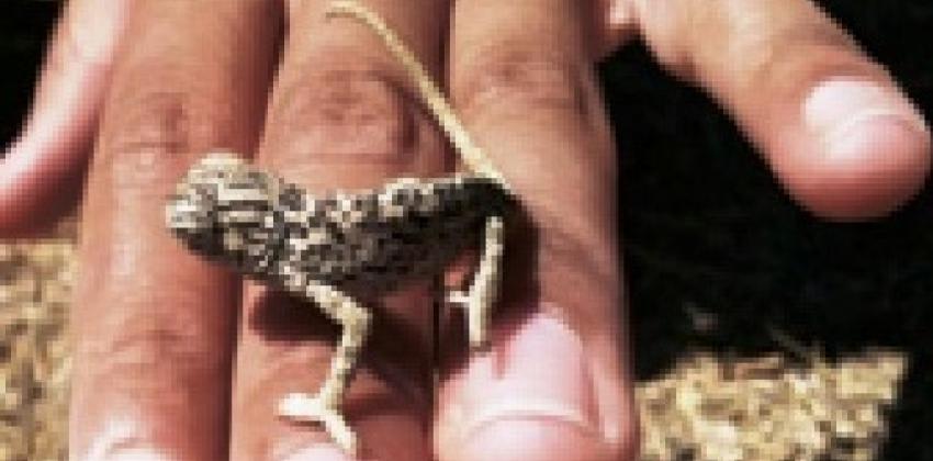 "Αξίζει να σε μάθεις καλύτερα" για να δούμε τι έχει να μας πει η Βίβη από την εμπειρία της σε EVS στην Πορτογαλία..!