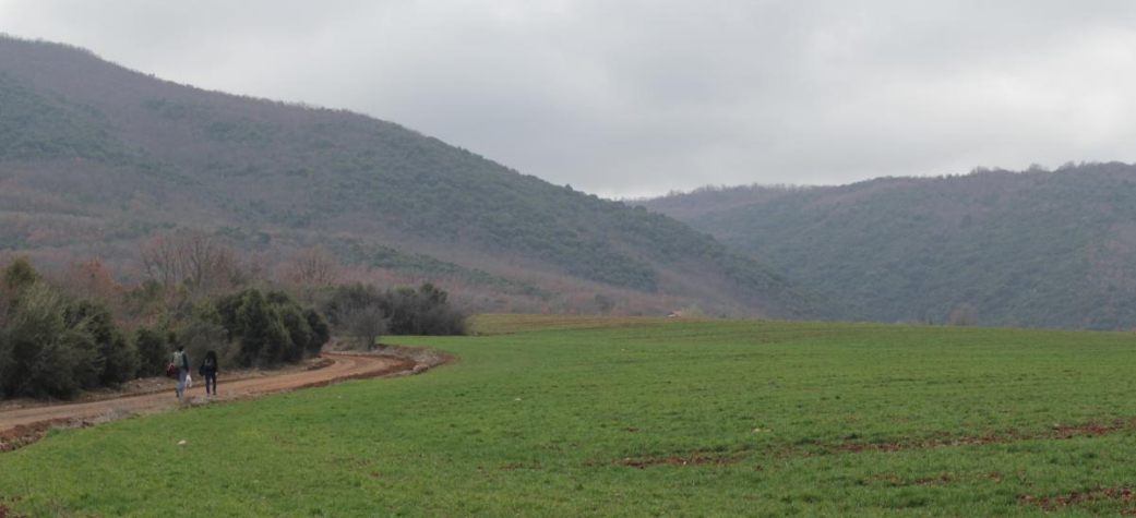 Kathara Deftera, the Greek Cleaning Monday with good company, kites and taramosalata