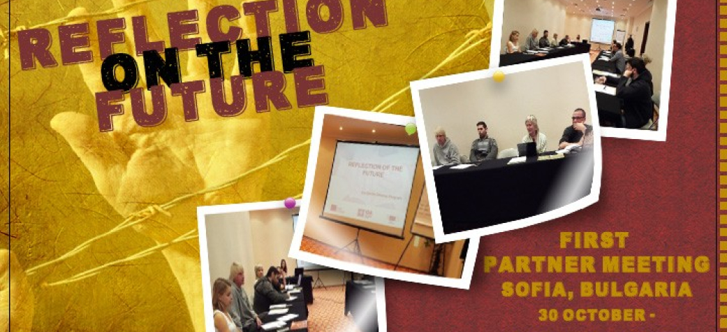 Reflection of the Future (Νοέμβριος 2014-Νοέμβριος 2015)