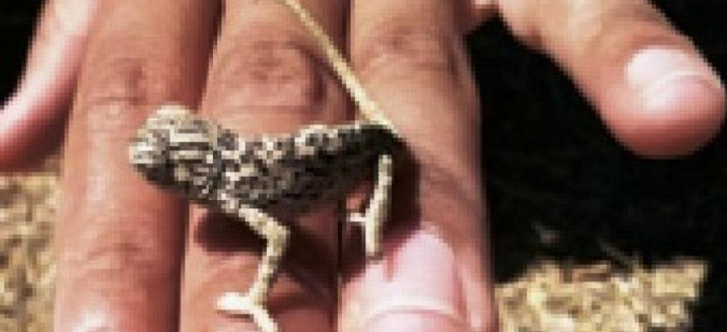 "Αξίζει να σε μάθεις καλύτερα" για να δούμε τι έχει να μας πει η Βίβη από την εμπειρία της σε EVS στην Πορτογαλία..!