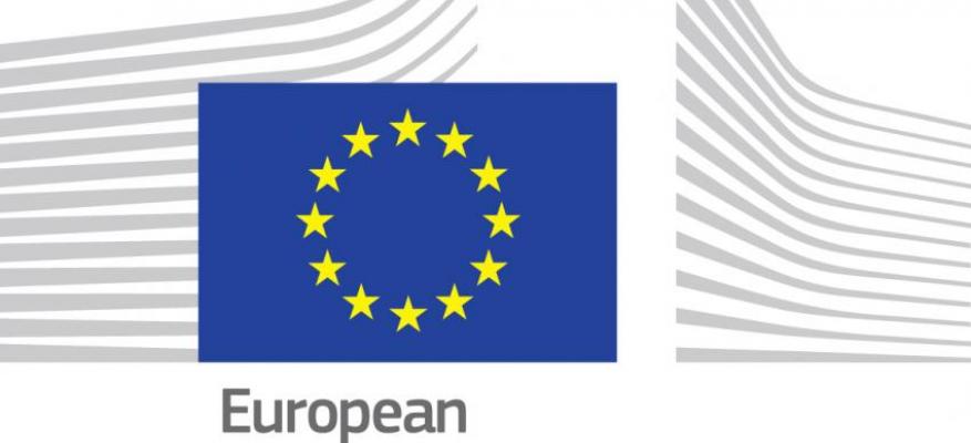 European Volunteering and Integration