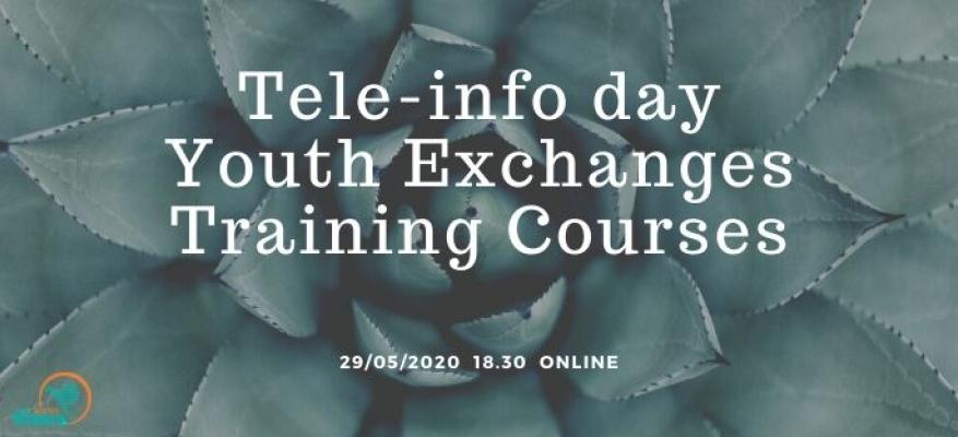 Book your Ticket to Tele-info day Youth Exchanges/Training Courses